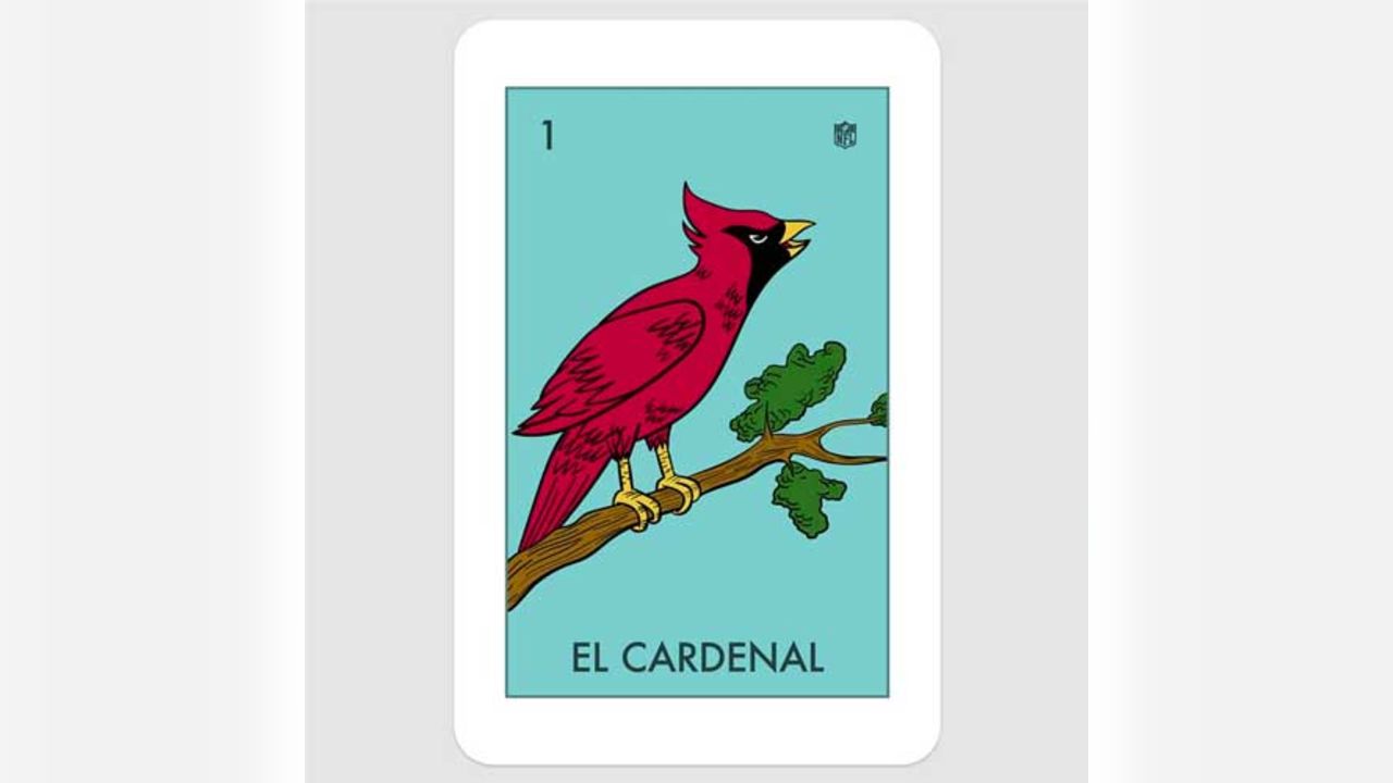 super bowl loteria｜TikTok Search