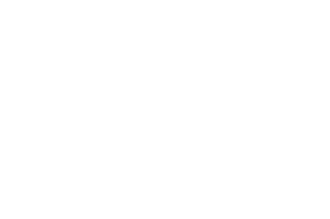 2022 Falcons Fan of the Year Nominee