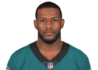 Who Is NFL Wide Receiver Mike Wallace and How Much Is He Worth? -  Sportsmanor