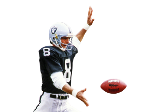 Ray Guy Stats, News and Video - P