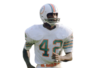 Paul Warfield Stats Summary