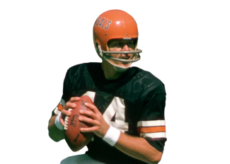 Ken Anderson Stats, News and Video - QB