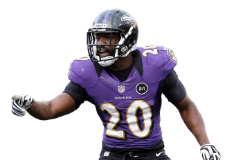 Ed Reed Stats, News and Video - FS 