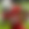 AP20272127128422 (1)