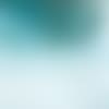 shutterstock_1169699956