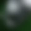 shutterstock_695875429