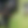 Sam-Julio