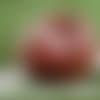 Football-Field-141111-EVO.jpg
