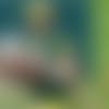 Aaron Rodgers-Drew Brees