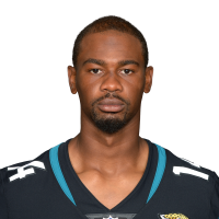 Terry Godwin
