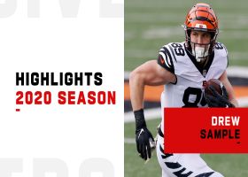 Drew Sample highlights | 2020 season