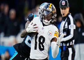 Diontae Johnson hauls in 18-yard reception down the sideline