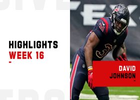 David Johnson's best plays from 139-yard game | Week 16