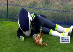 Puppies abound at Seahawks' Pet Rescue Day at training camp