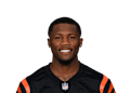 Tee Higgins
