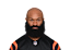 Samaje Perine