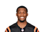 Tee Higgins