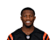 Tee Higgins