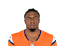 RJ Harvey