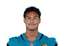 C.J. Williams
