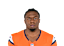 RJ Harvey