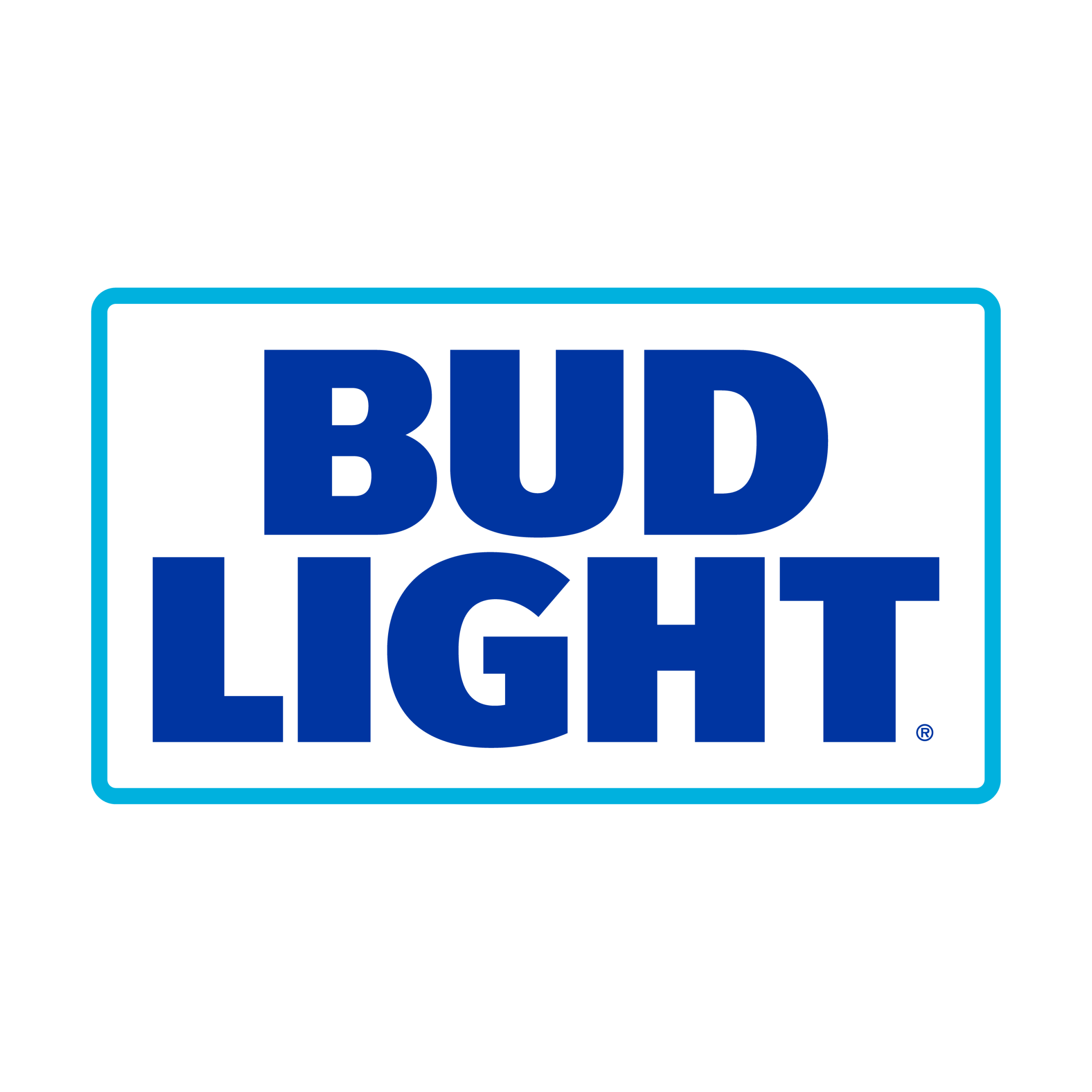 Celebrations of the Year presented by Bud Light