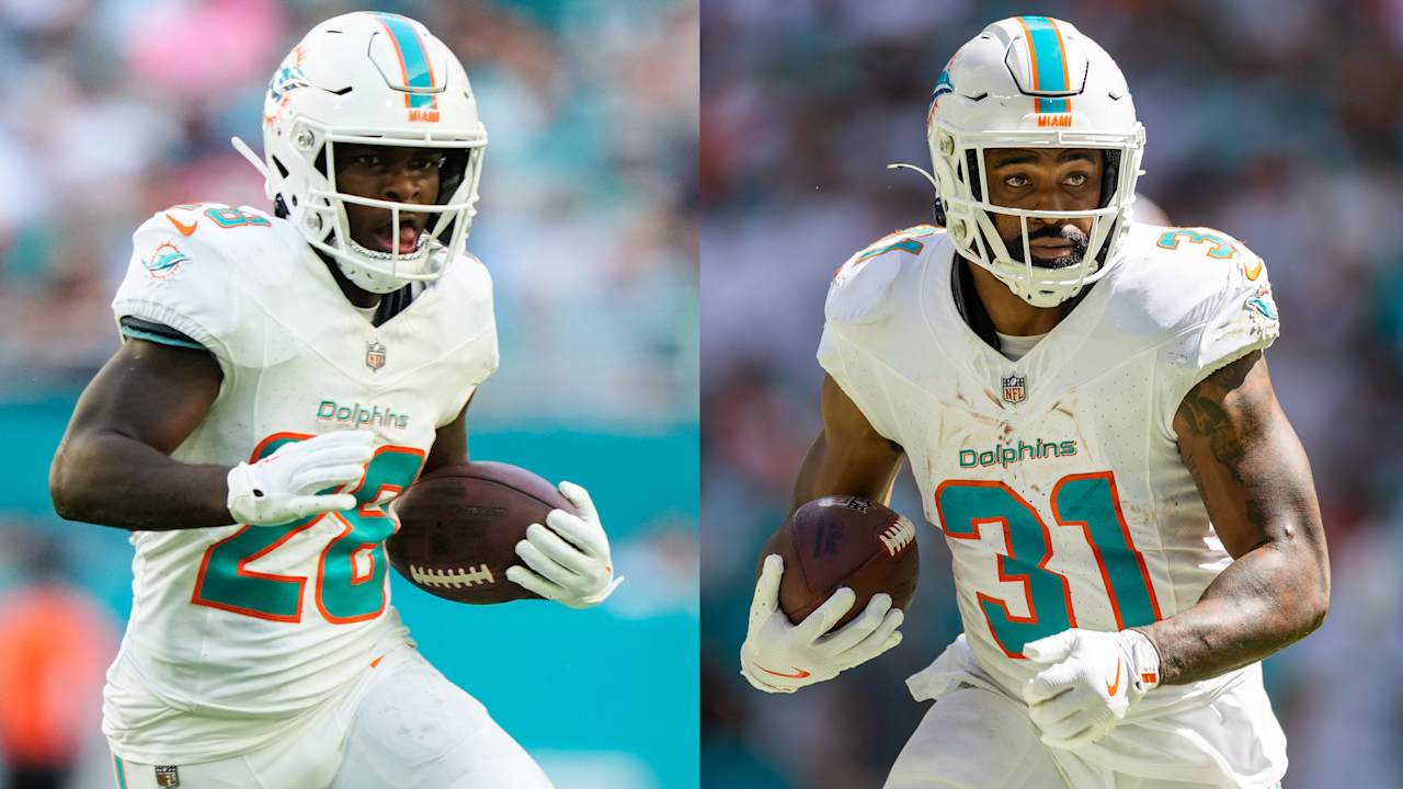 Dolphins_TN