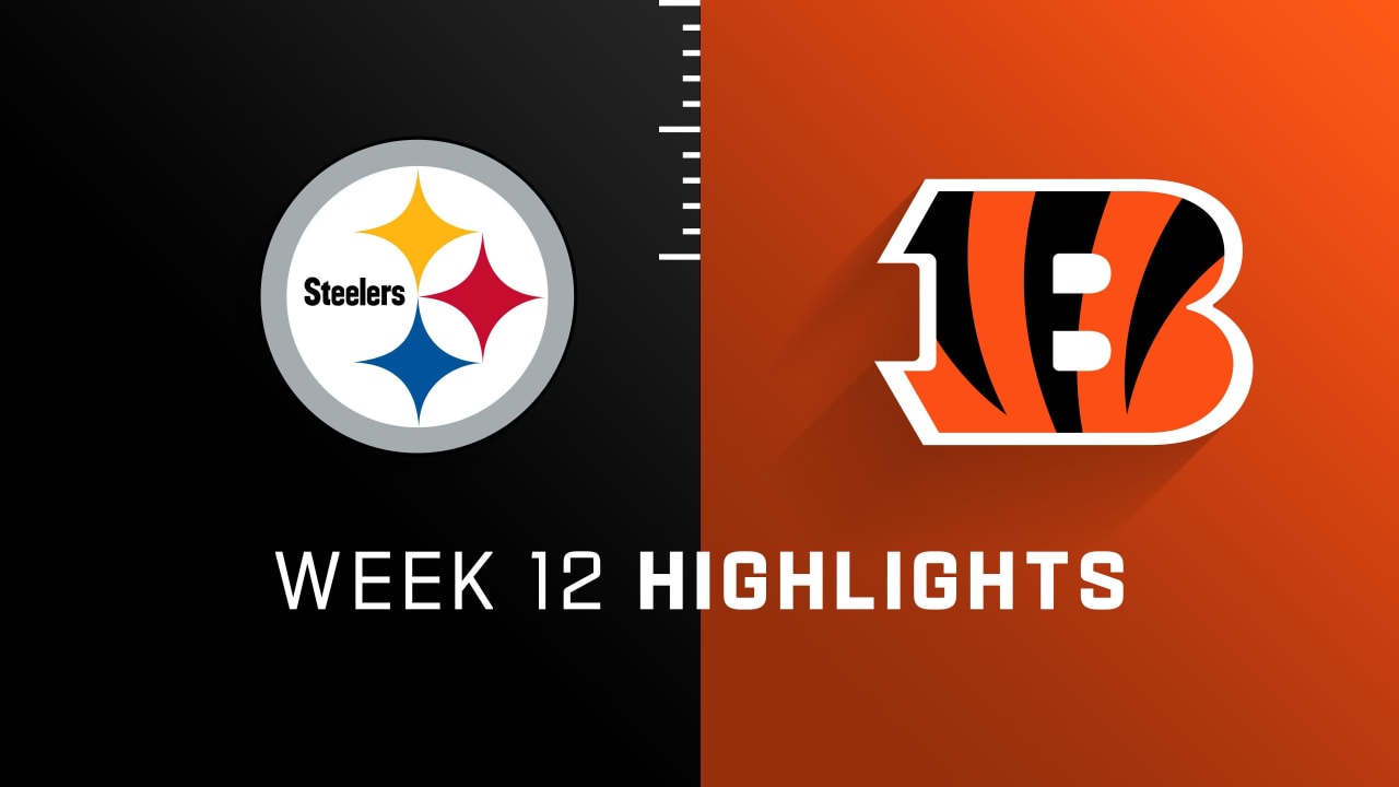 Pittsburgh Steelers vs. Cincinnati Bengals highlights Week 12