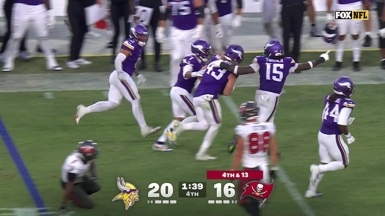 Minnesota Vikings linebacker Andrew Van Ginkel intercepts Tampa Bay ...