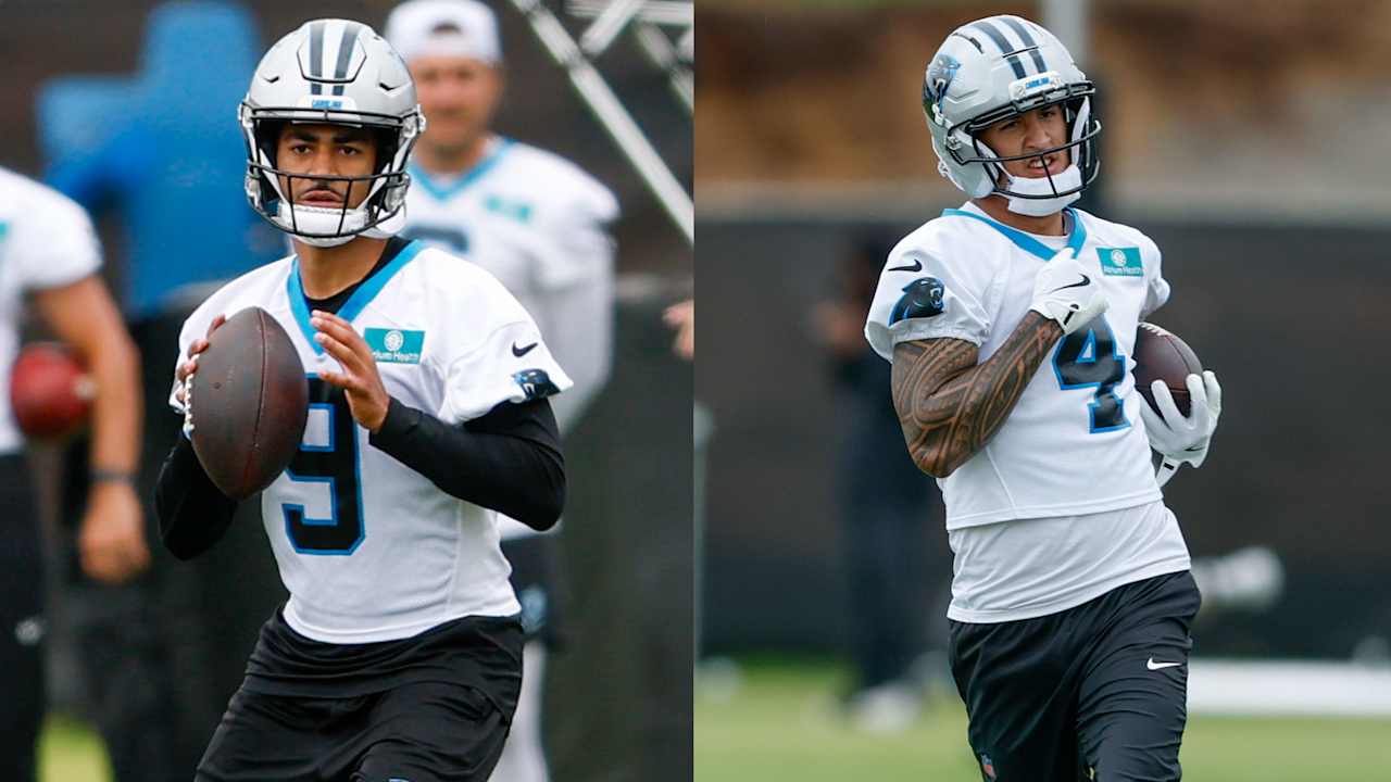 panthers-tn