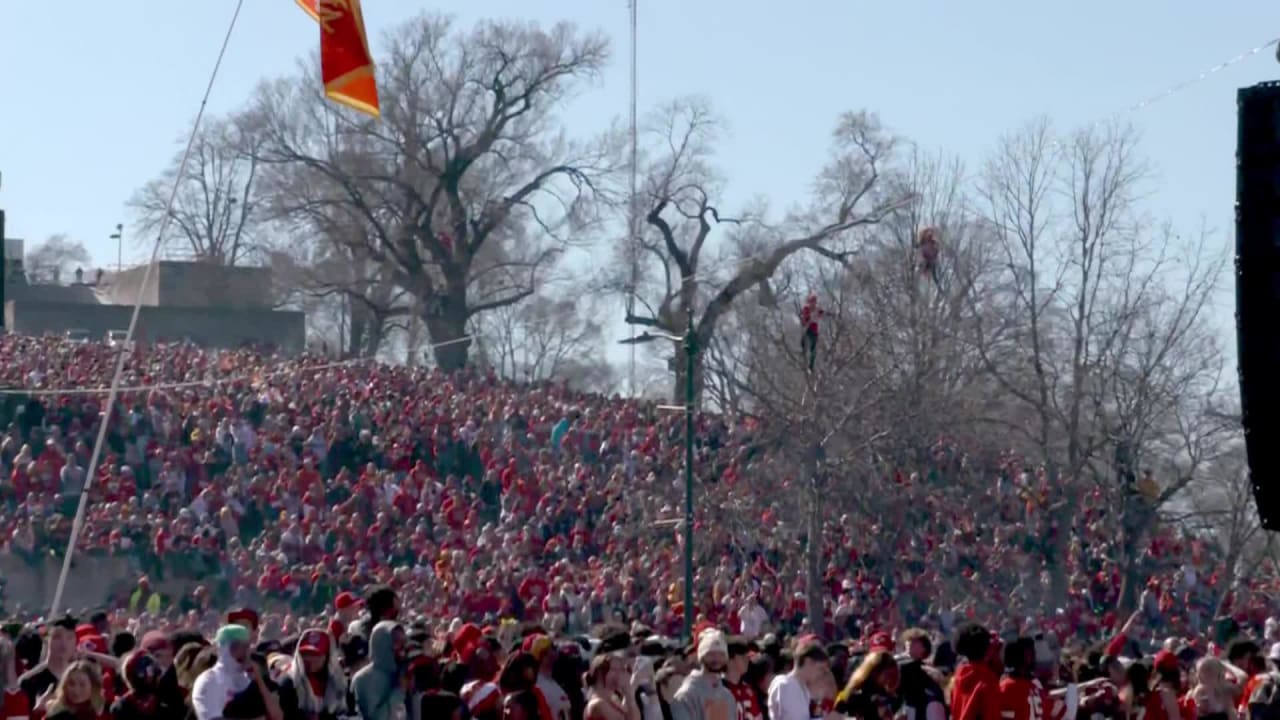 Fans climbed up into trees during the Kansas City Chiefs Super Bowl ...