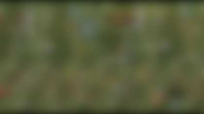 Imagen Steelers1