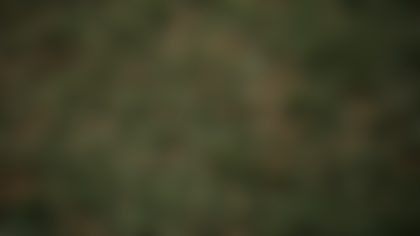 Brazil, the land of American Football