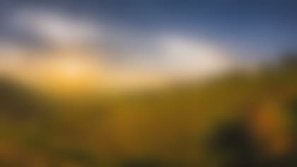 Newton Vineyard, St Helena, Napa Valley, California