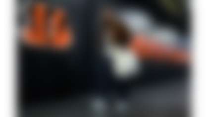 Courtesy of bengals.com