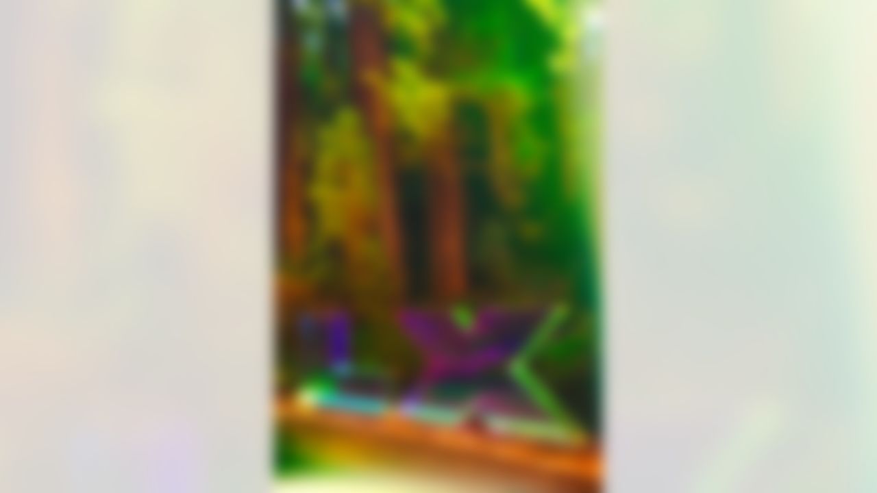 General view of Muir Woods. Photo permit assistance courtesy Golden Gate National Recreation Area and NPS.