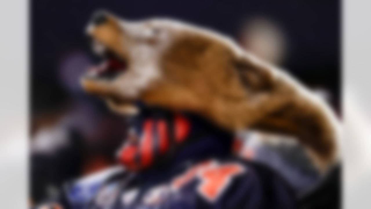 A Chicago Bears fan cheers during an NFL football game against the Los Angeles Rams on Sunday, January 18, 2026 in Chicago, Illinois.