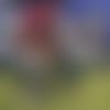desean jackson tn