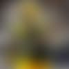 Rashan Gary_TN