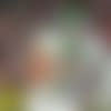 Fields-Chiefs-TN