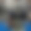 Javonte Williams_TN