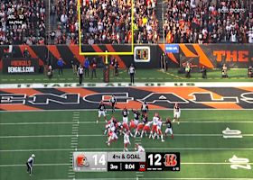 Andre Szmyt's 27-yard FG extends Browns lead over Bengals to 17-12
