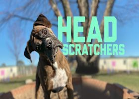 Biggest head scratchers from Week 5 | 'GMFB'