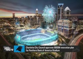 Charlotte City Council approves $800m renovation plan for Panthers Bank of America Stadium