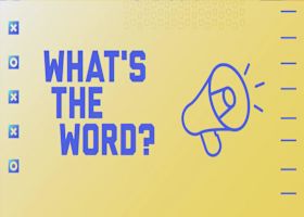 What word could you use to describe Patriots | 'GMFB'