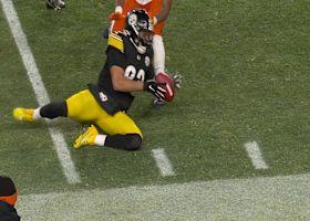 Steelers recover Bengals' muffed punt late in the fourth quarter