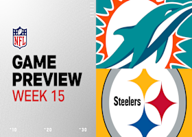 Dolphins vs. Steelers preview | Week 15